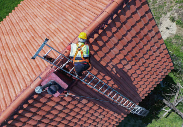 Best Roof Coating Services  in Tremont, PA