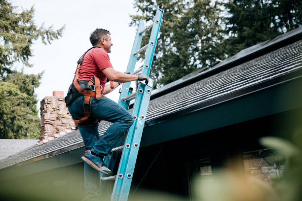 Best Gutter Installation and Repair  in Tremont, PA